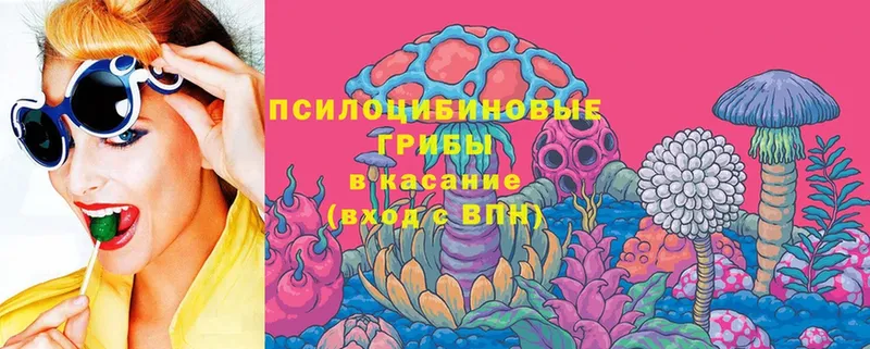 Псилоцибиновые грибы MAGIC MUSHROOMS  kraken как войти  Петровск 